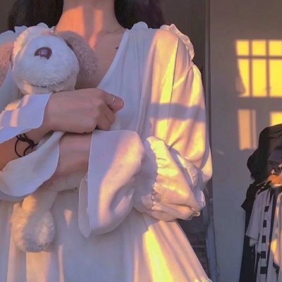 妙探乌龙记